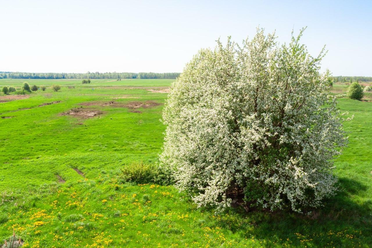 White Camomile Condo Šventoji Eksteriør bilde